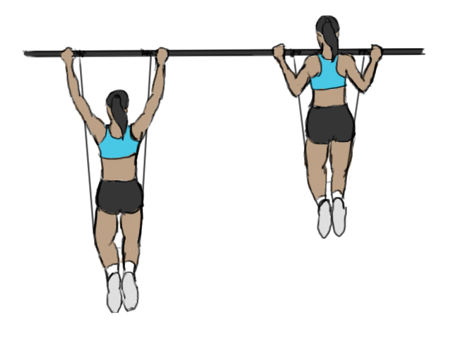 Tractions pronation à l'élastique - GoFitnessPlan