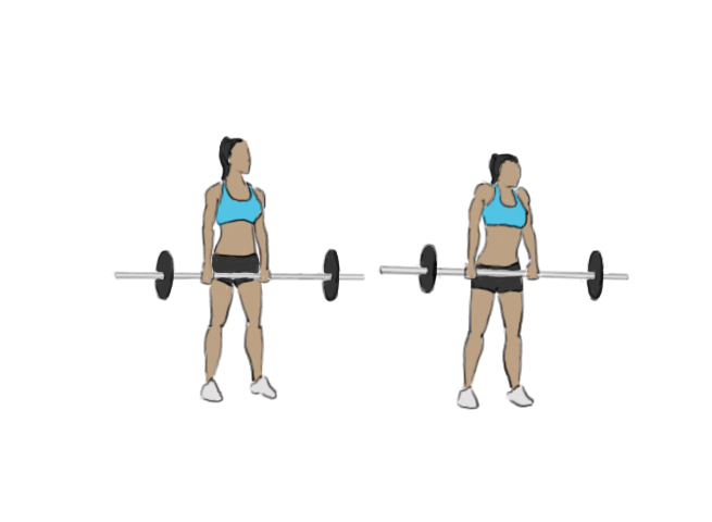 Haussement d'épaules / Shrugs à la barre
