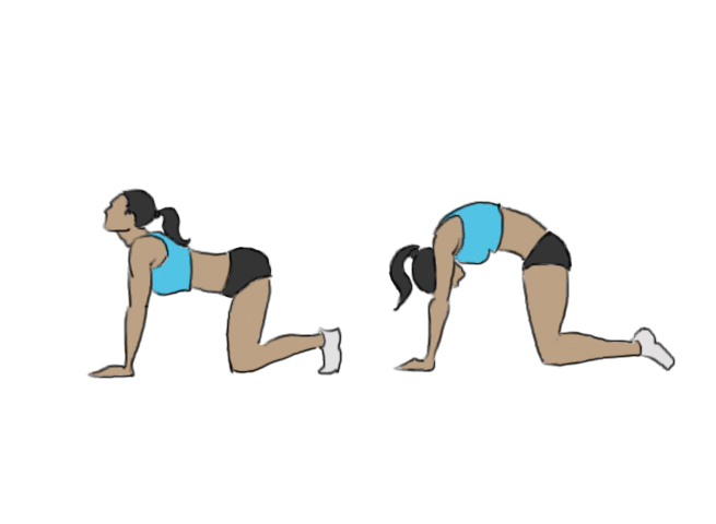 Hollow back, round back / Cat pose - GoFitnessPlan