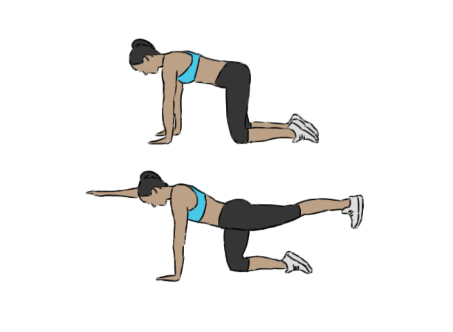 Extension jambe et bras inversé