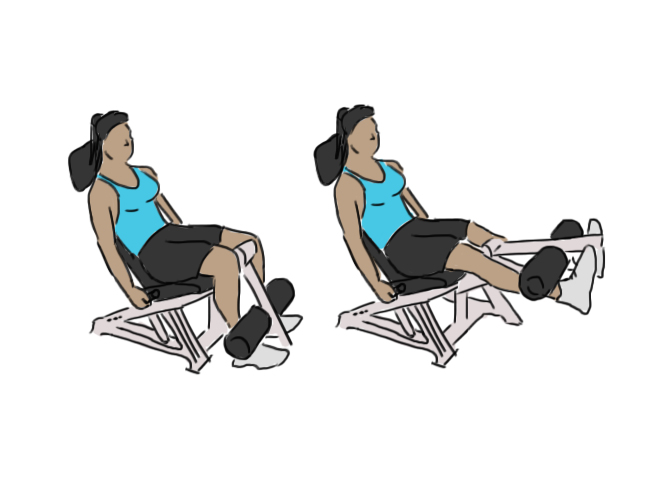 Extensions de jambe à la machine