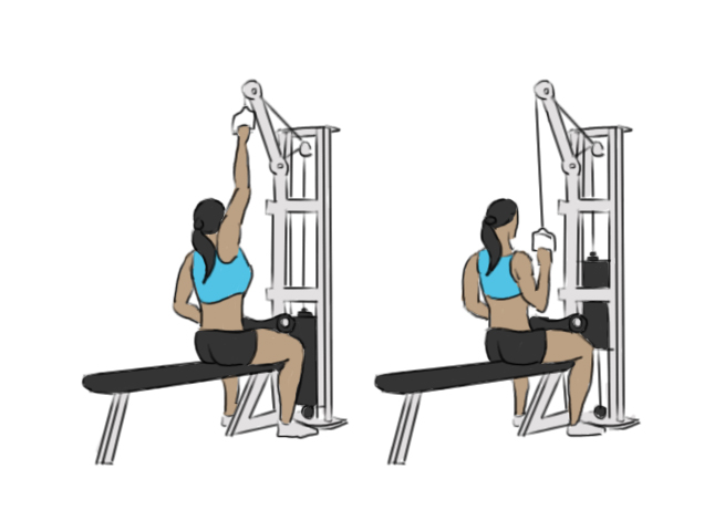 Tirage verticale à la poulie à un bras assis Standards pour les