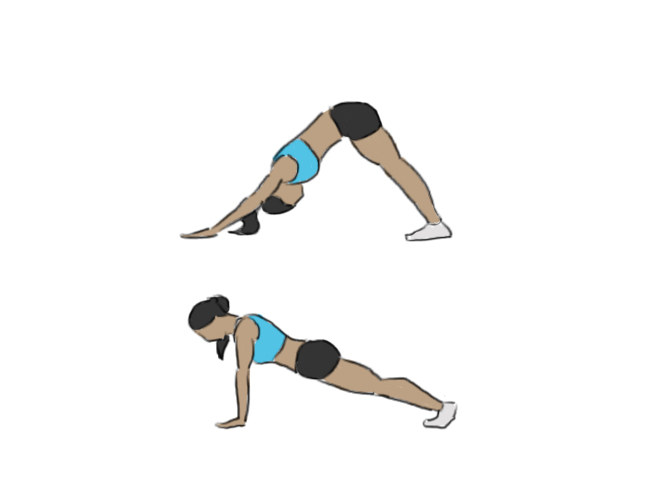 Planche à chien tête en bas