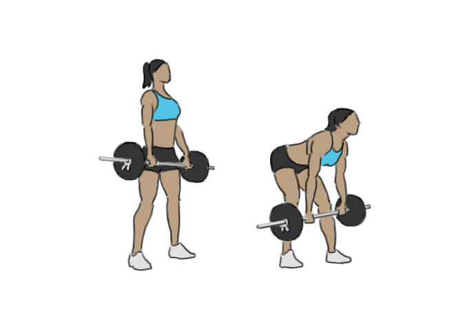 Deadlift roumain à la barre
