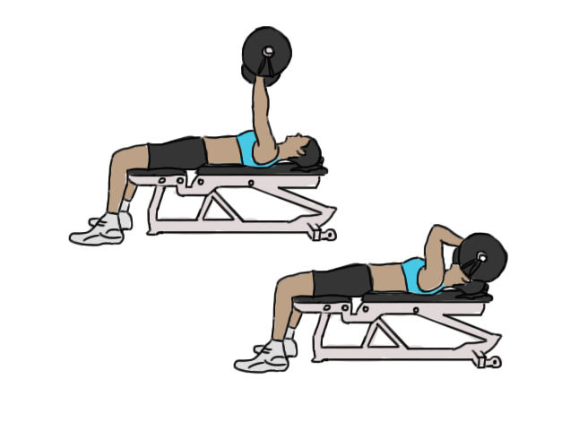 Triceps barre au front