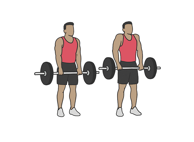 Haussement d'épaules / Shrugs à la barre