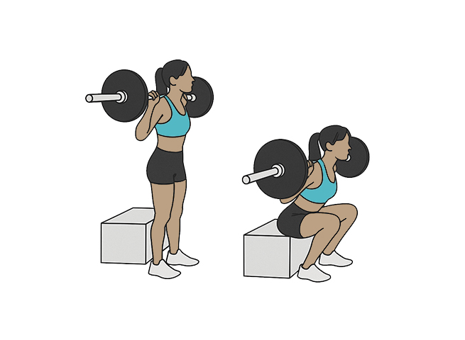Box squat à la barre