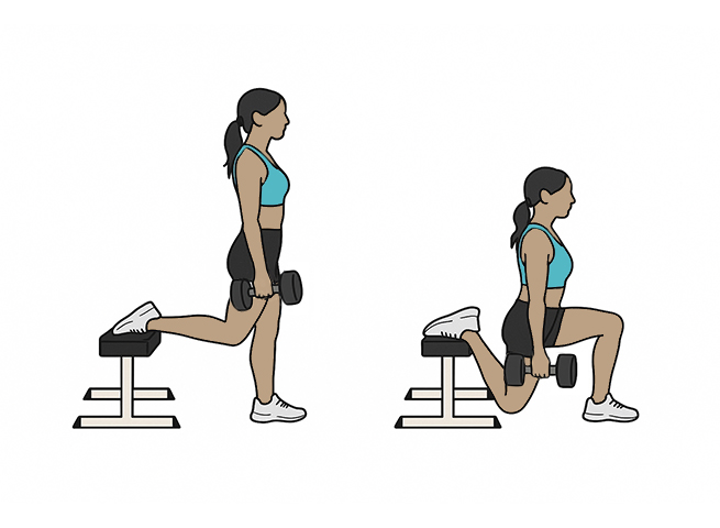 Squat bulgare avec haltères