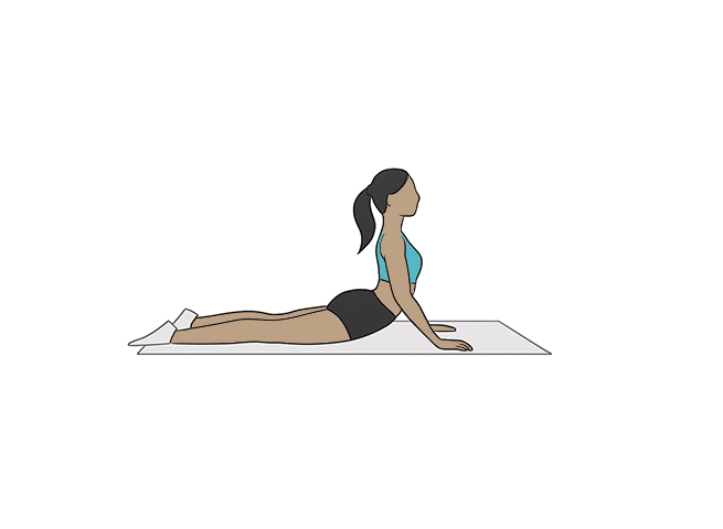 Posture du cobra
