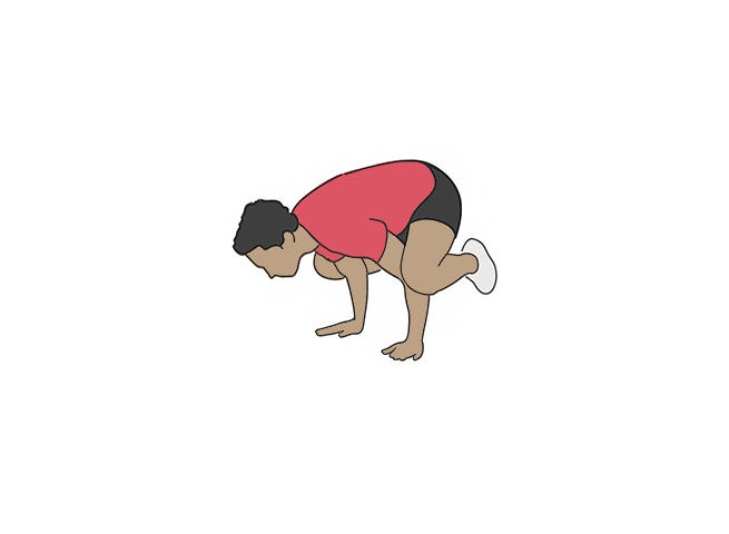 Planche grenouille