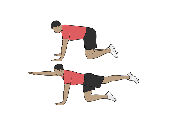 Extension jambe et bras inversé