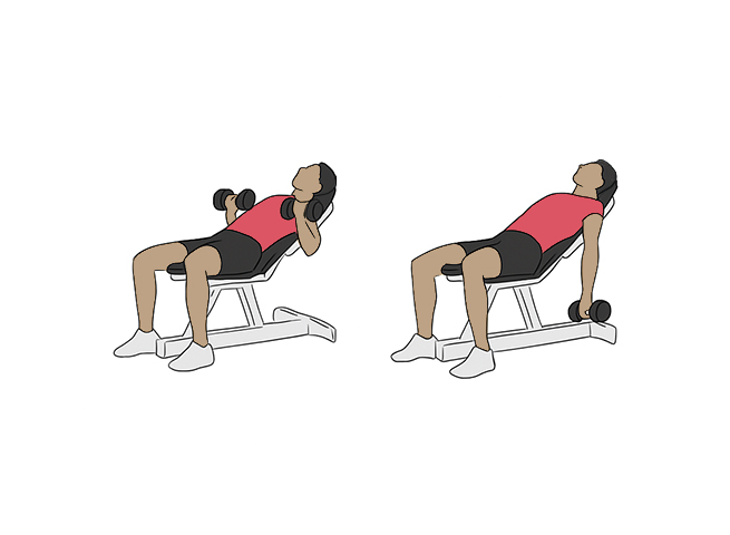 Curl incliné avec haltère