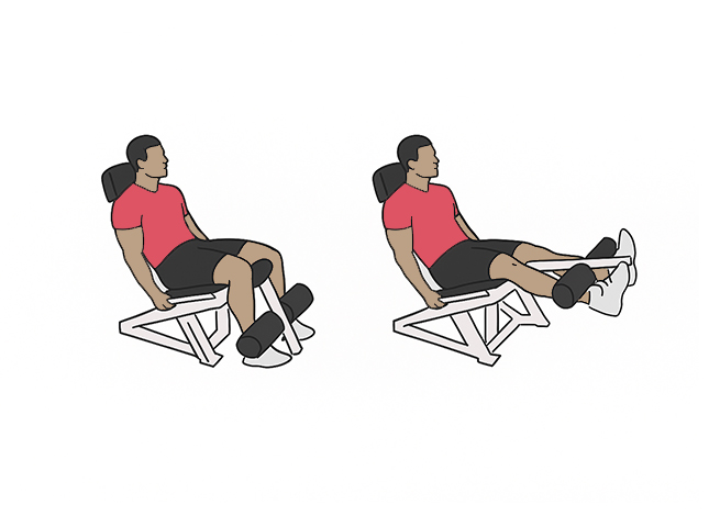 Extensions de jambe à la machine