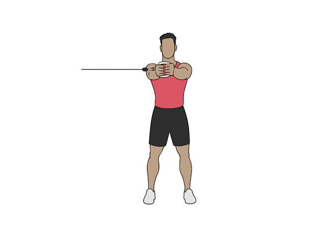 Gainage à la "Pallof press"