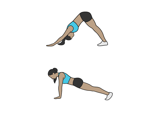 Planche à chien tête en bas