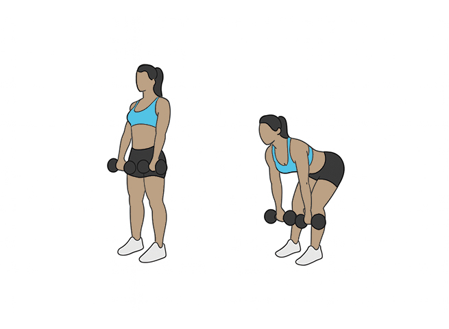 Deadlift roumain avec haltères