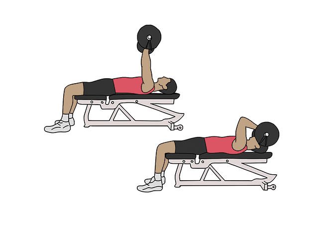 Triceps barre au front
