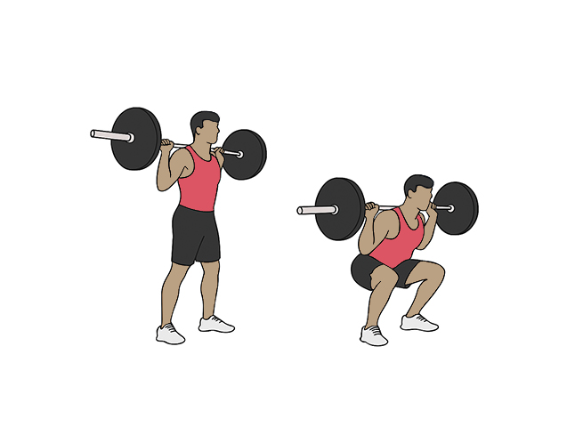 Squat avec barre