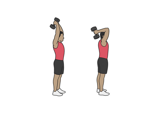 Extension triceps avec un haltère