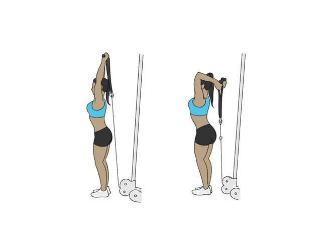 Extension triceps à la poulie