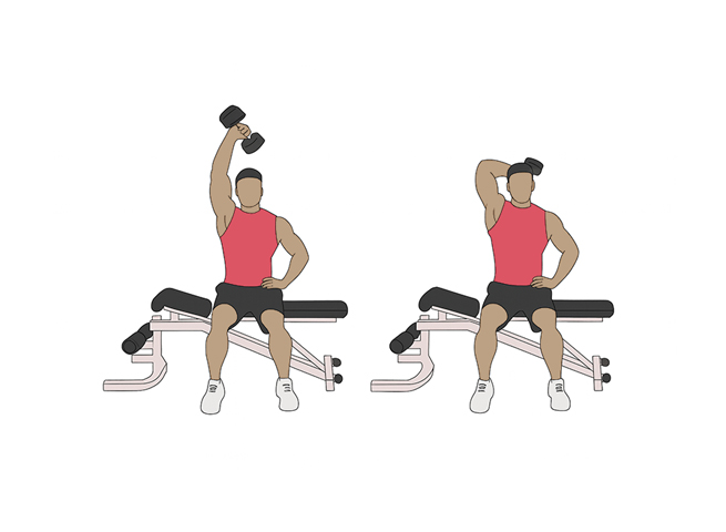 Extension triceps avec haltère