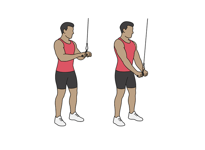 Triceps à la poulie haute