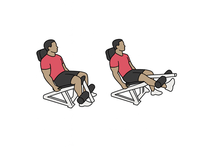 Extensions de jambe à la machine en unilatéral